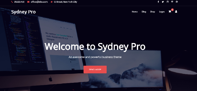 Best WooCommerce themes: Sydney Pro