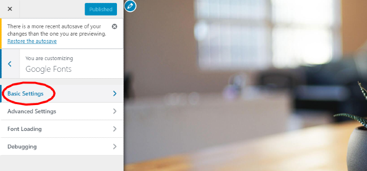 how-to-adjust-google-fonts-website-basic-settings