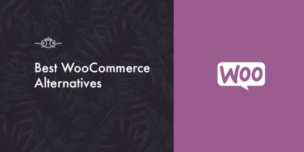 Top WooCommerce Alternatives!