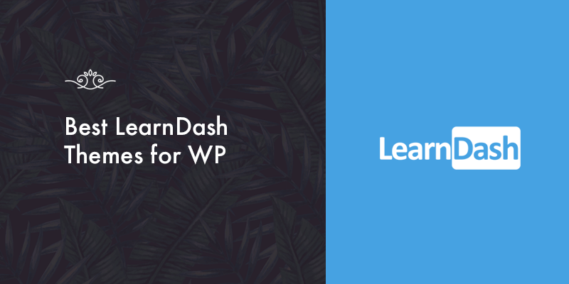 Top WordPress Themes for LearnDash